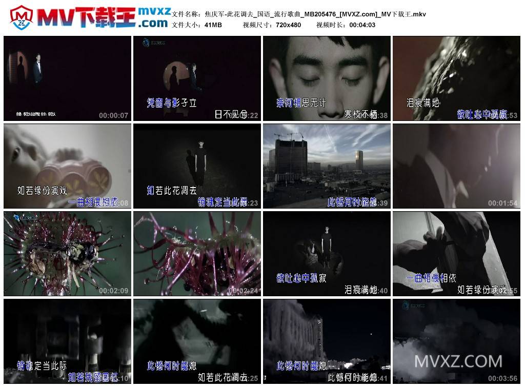 焦庆军-此花调去_国语_流行歌曲_MB205476